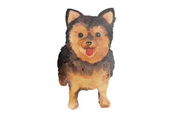 Chorkie Dog, Watercolor