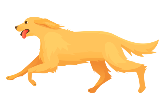 Golden Retriever Running